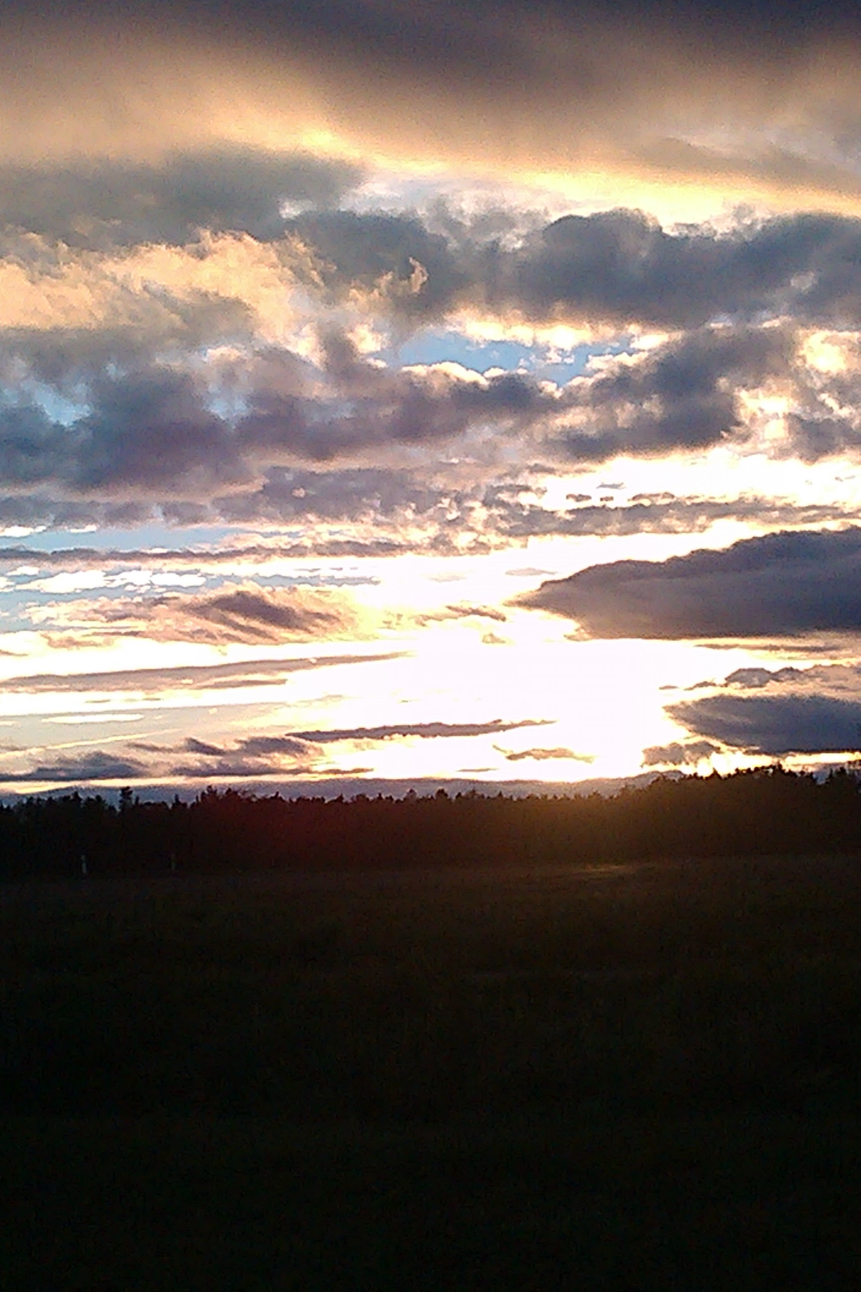 IMAG2307